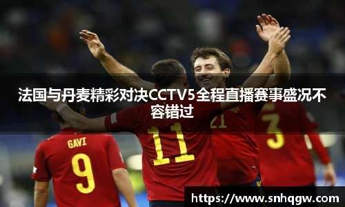 法国与丹麦精彩对决CCTV5全程直播赛事盛况不容错过